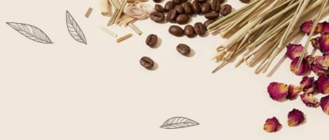 Soap Opera Bangkok Website Banner Template 3